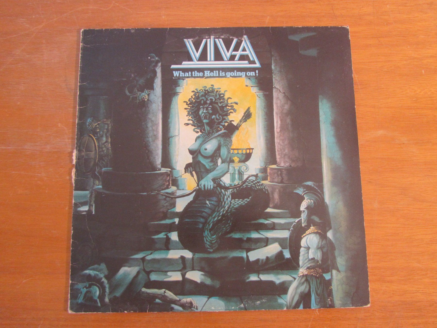 Dischi in vinile: VIVA:    What the Hell is going on ! – Usato da Seengen venduto da mikelele