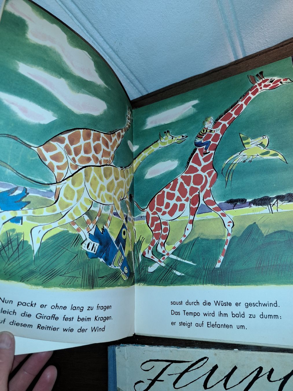 Libri: Flurina und das Wildvöglein 2 Bücher – Usato da Kölliken venduto da Upcycling-by-Mc-TAM 2