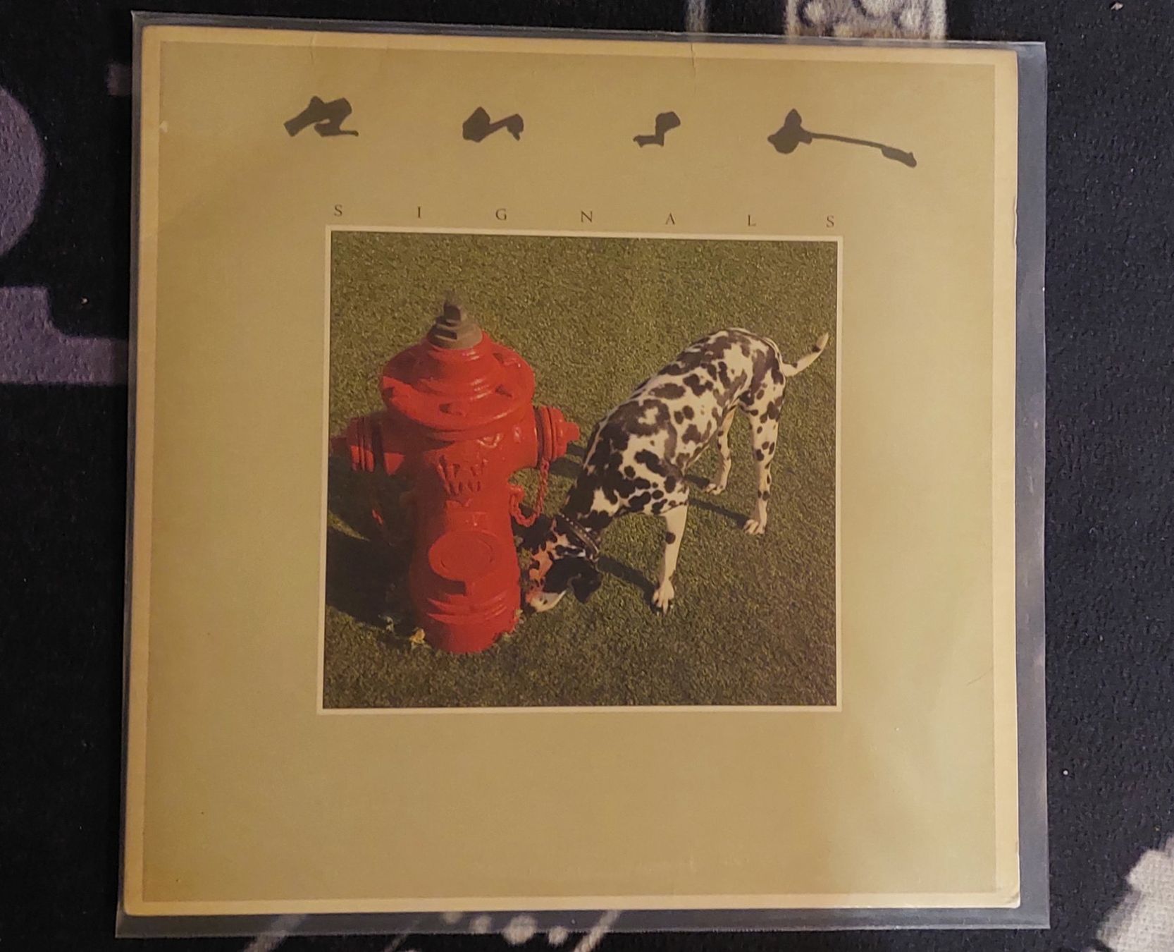 Dischi in vinile: RUSH:"Signals" LP(1987) – Usato da NENDELN venduto da Vinylandmote