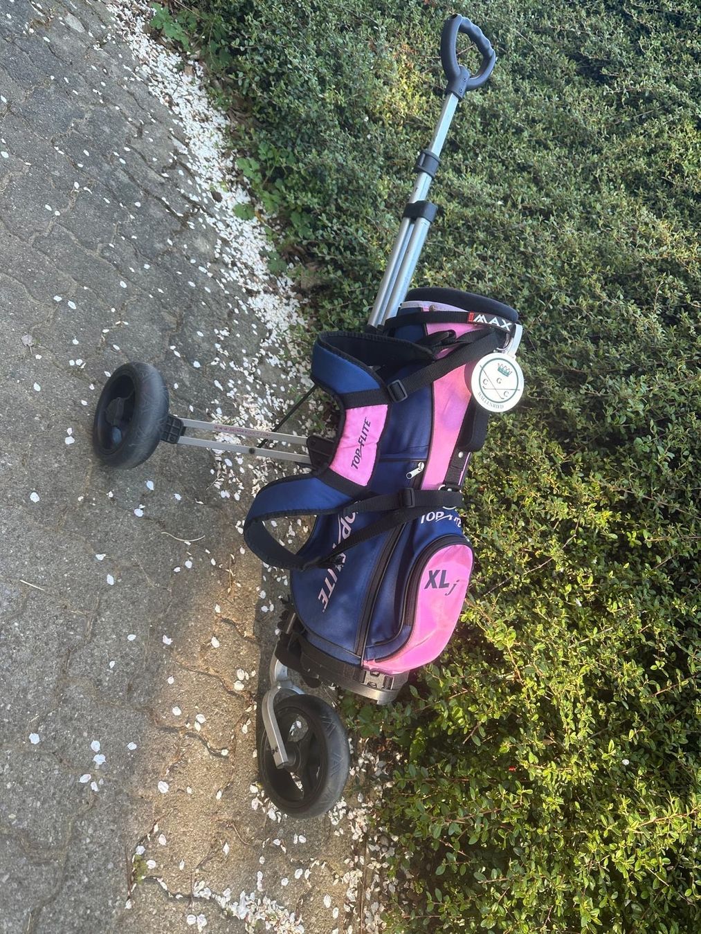 Trolley: Top Elite XL Golf Cart/Trolley – Usato da Moosseedorf venduto da ram_c65w 2