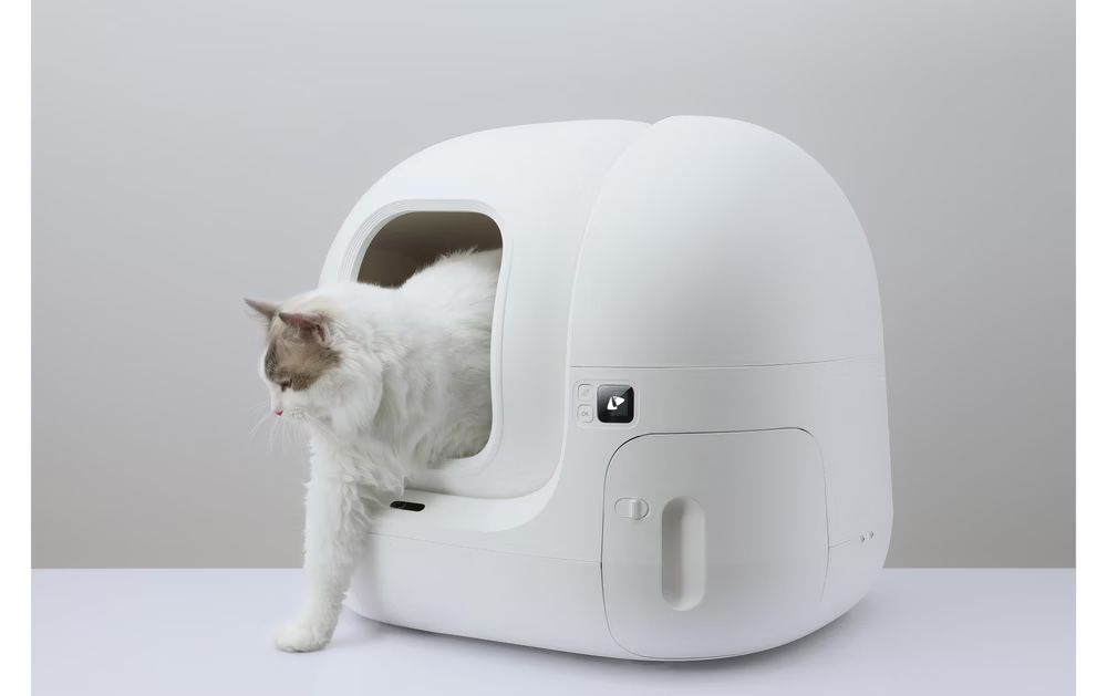 Petkit WC: Petkit Pura Max – D'occasion à Recherswil par Scity