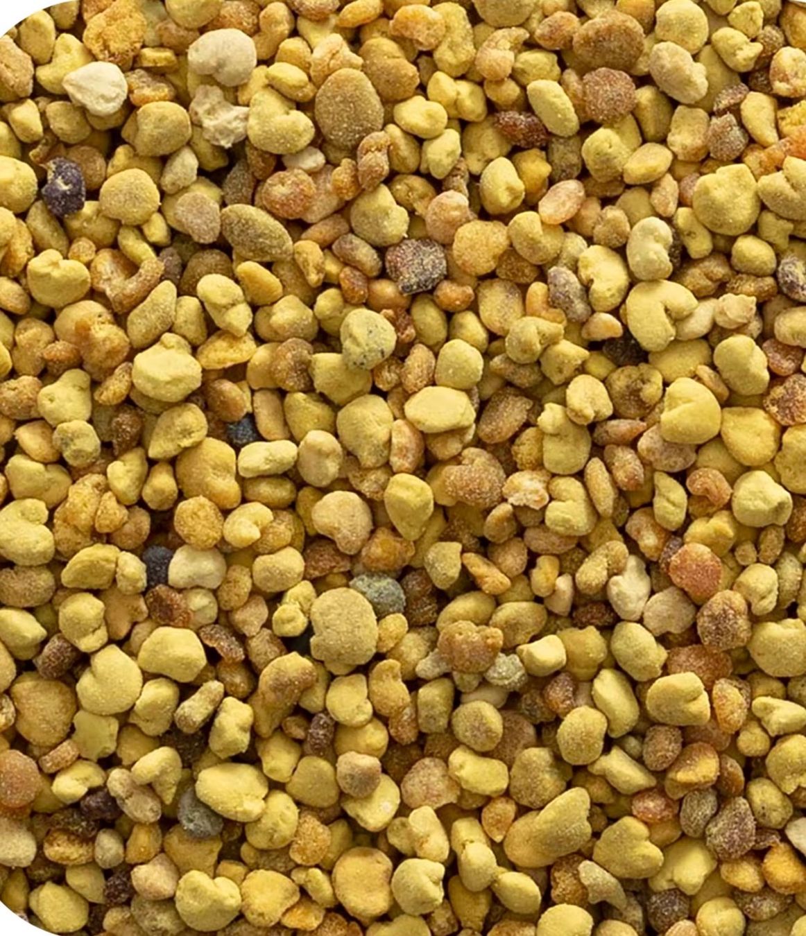 Alveari: Bienenpollen propolis 400 gram – Usato da Bern venduto da gre_rsw6