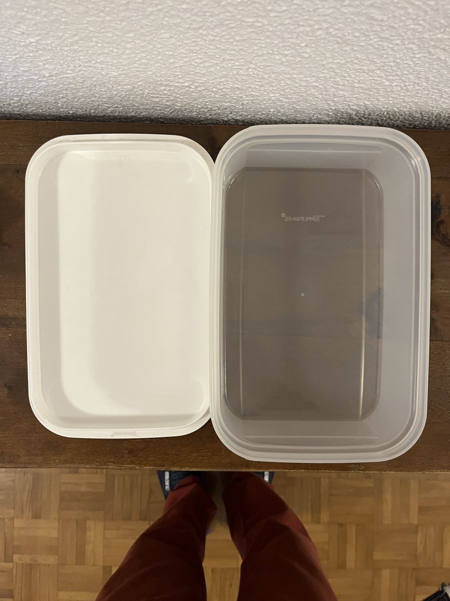 Tupperware Contenitori & Simili: Original Tupperware (2 Stk.) – Nuovo (secondo la descrizione) da Bassersdorf venduto da pewi45 3