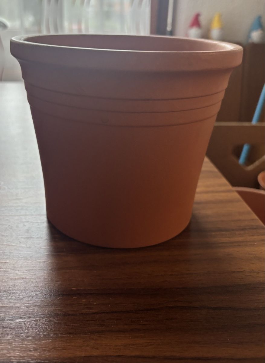 Blumentöpfe: Blumentopf Terrakotta Ø 16 cm leicht gebraucht – Gebraucht aus Siebnen von neb_tt6h 1