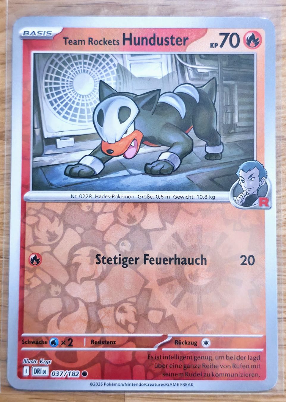 Pokémon Carte collezionabili: Team Rockets Hunduster 037/182 DRI – Nuovo (secondo la descrizione) da Arbon venduto da Twist05