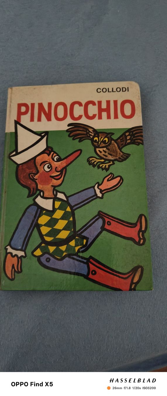 Libri: Pinocchio – Usato da Volken venduto da katz5