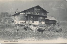 Landwirtschaft/Bauernhaus/Kühe 1910 OW/NW?