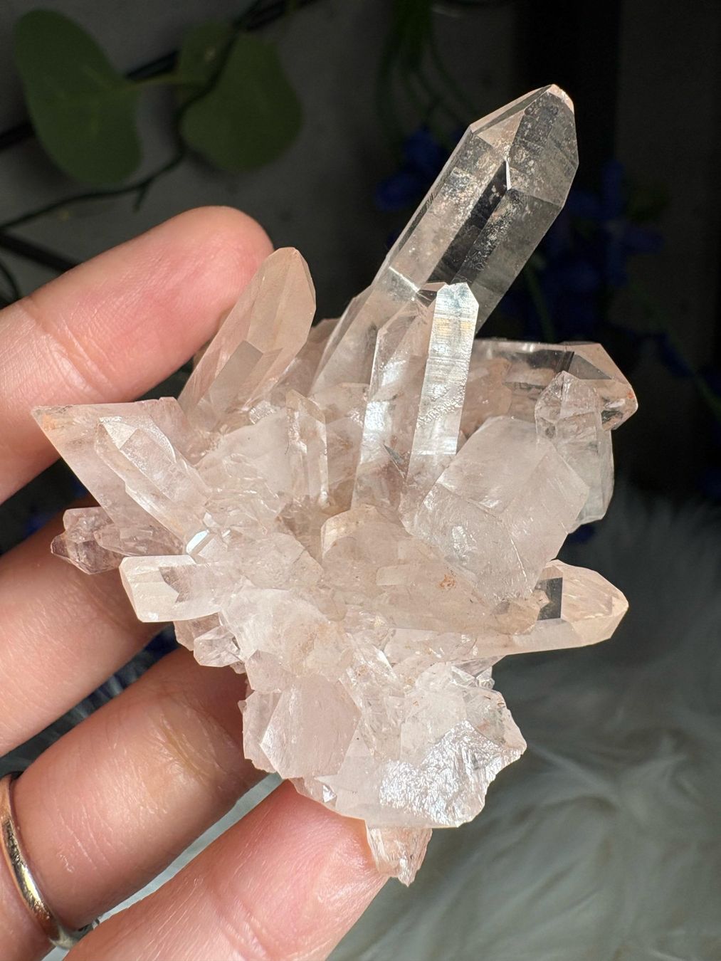 Minerali & Pietre curative: Rosa Quarz-Cluster – Nuovo (secondo la descrizione) da Neuheim venduto da m.hald 3
