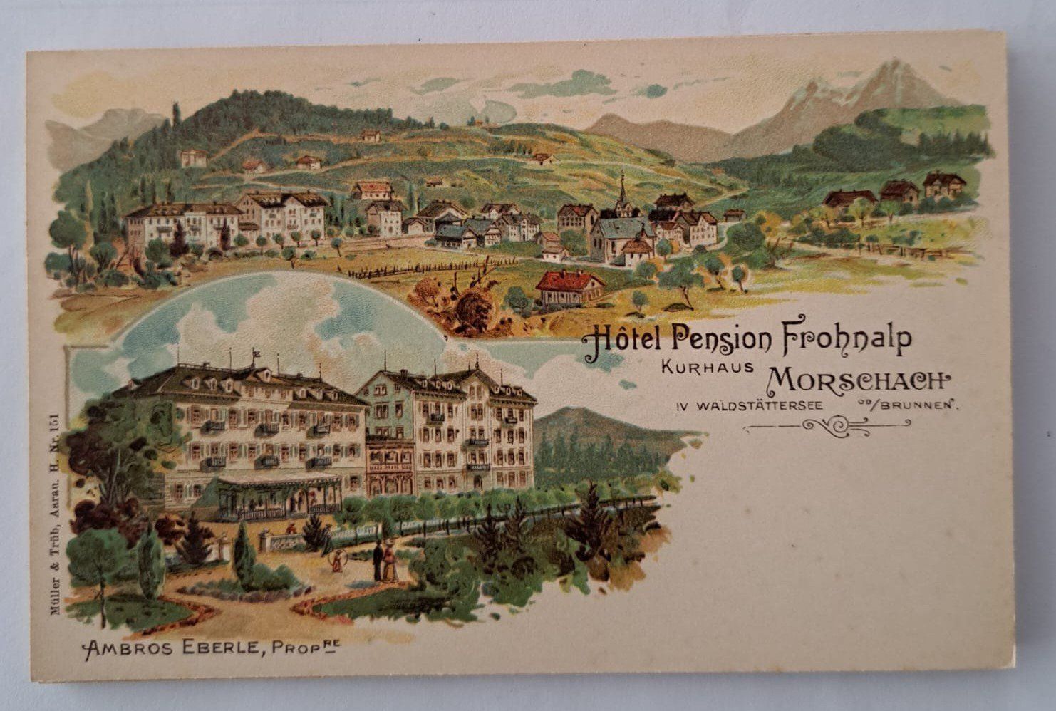 Ansichtskarten: alte Postkarten – Neu (gemäss Beschreibung) aus Freienbach von Suurer