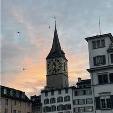 Profile image of SCHIESS-ZH