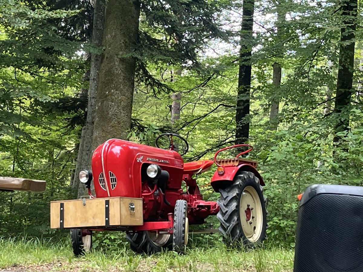 Trattori: Porsche Diesel Junior 108KH – Usato da Hirschthal venduto da leo_9f25 2