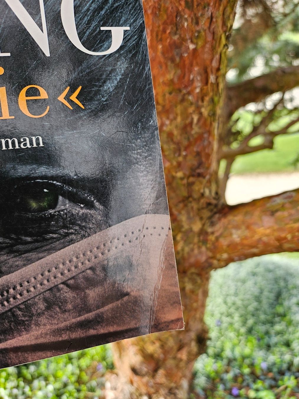Libri: Buch - Sie /Misery - Stephen King /Horror – Usato da Siblingen venduto da Vany_McDougall 4