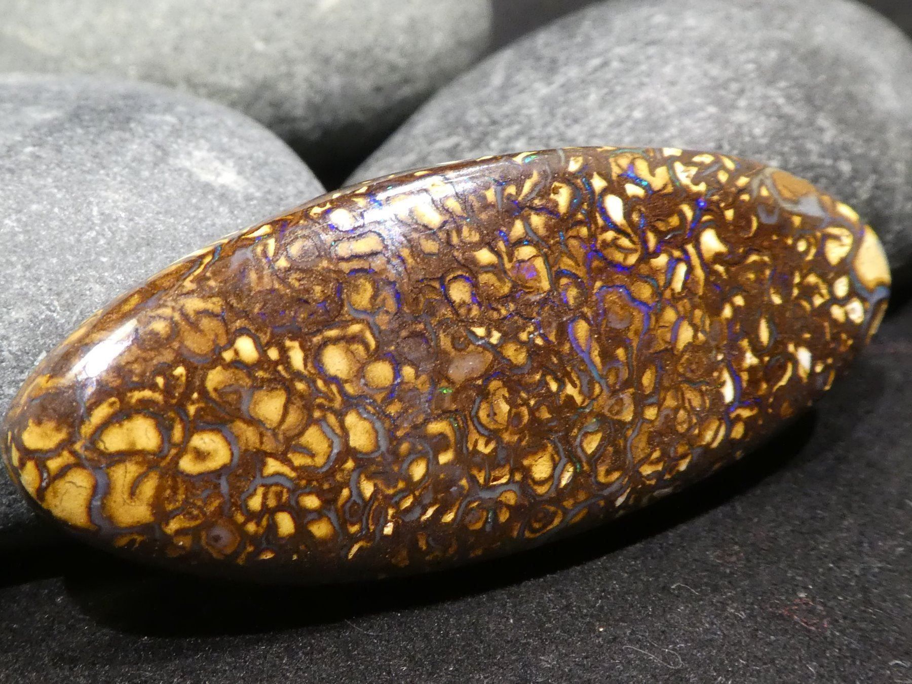Pietre preziose: Yowah Opal Handschmeichler – Nuovo e nell'imballaggio originale da Niederbüren venduto da Raphael014 7