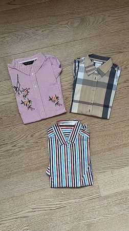 Damenblusen SEIDENSTICKER, DOROTHY PERKINS, ETERNA