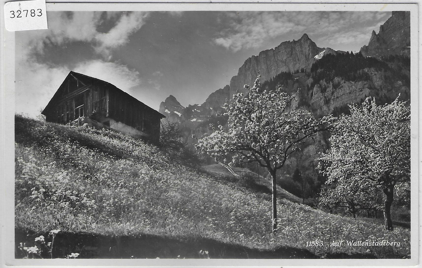 Cartoline postali: Auf Wallenstadtberg im Frühling – Usato da Ettingen venduto da Kartenplanet