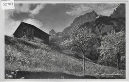 Auf Wallenstadtberg im Frühling