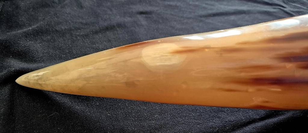 Tutte le decorazioni: Trinkhorn 1.5 Liter – Usato da Wetzikon ZH venduto da Juergen_B 3