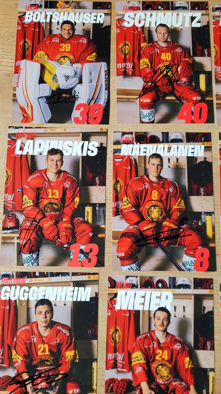 Autografi: SCL Tigers signierte Autogrammkarten  – Usato da Steffisburg venduto da Gismo49 1