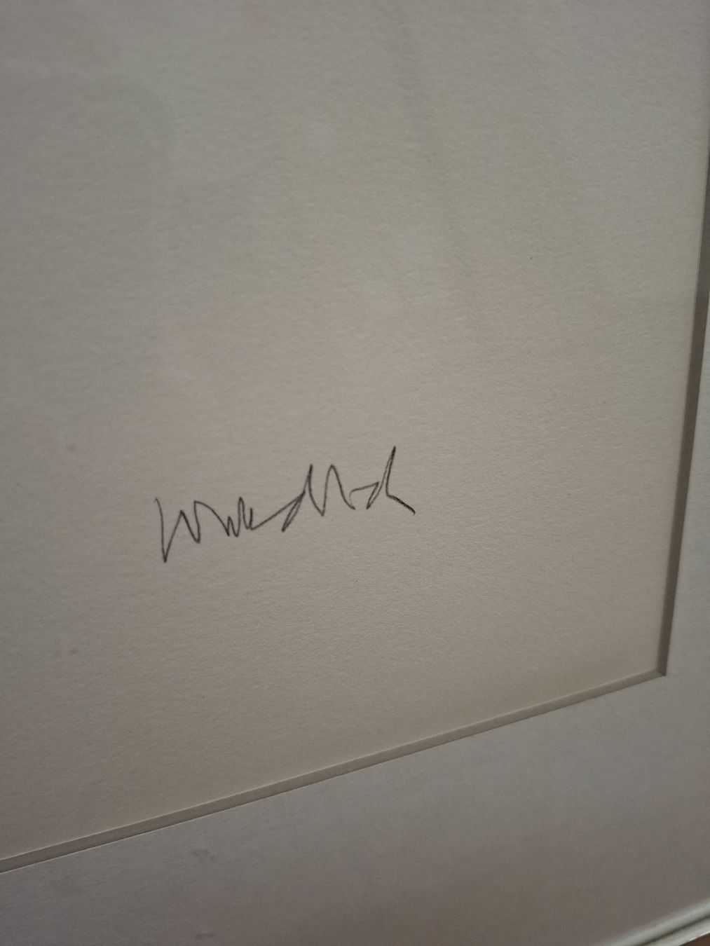 Grafica & Litografie: Paul Wunderlich Lithographie Amaryllis – Usato da Volketswil venduto da benluke 3