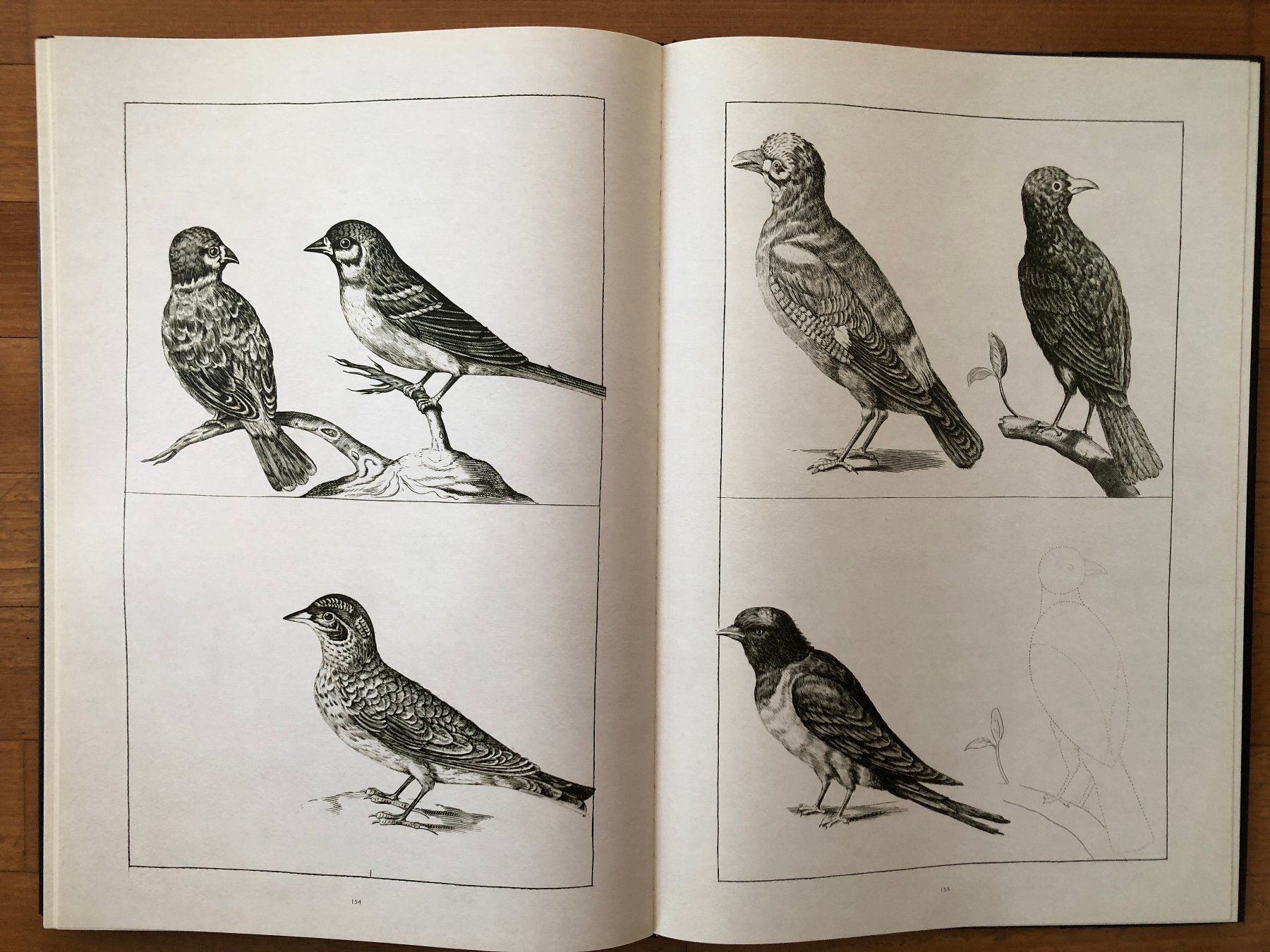 Libri: Kunst Buch: FREDERICK DE WIT - Lumen Picturae – Usato da Lugano venduto da gio.yo 6