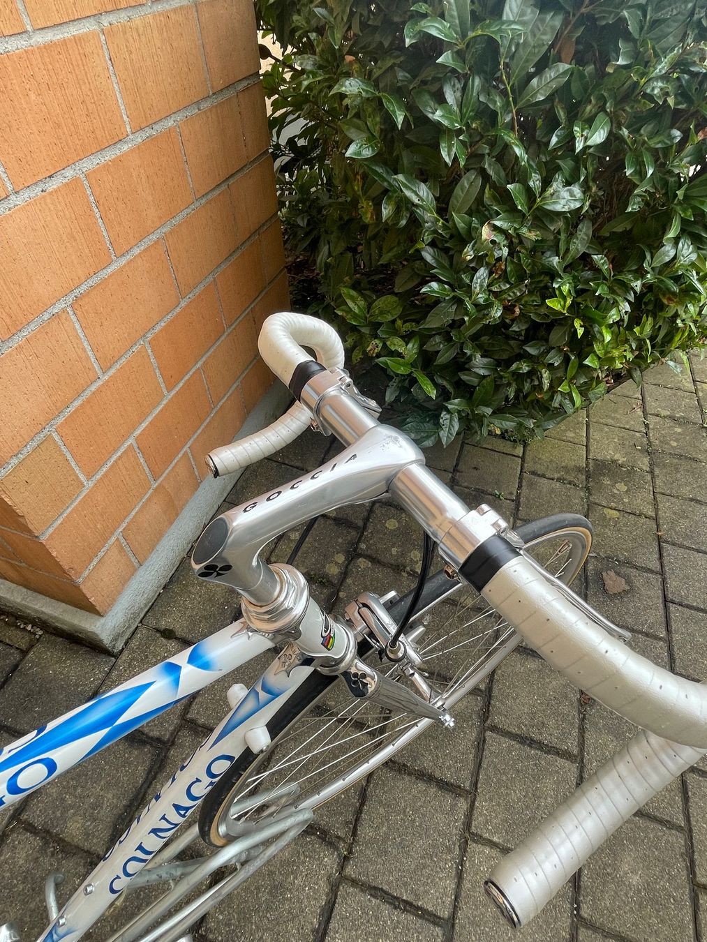 Colnago Biciclette: Colnago Rennrad Campagnolo – Usato da Dietikon venduto da sorry.7000 2