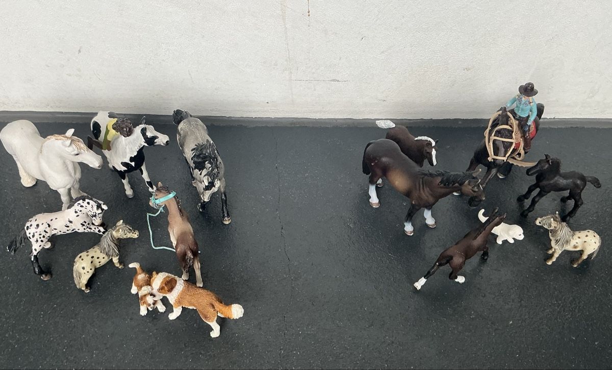 Schleich Giocattoli: Schleich – Usato da Kreuzlingen venduto da Sole2012
