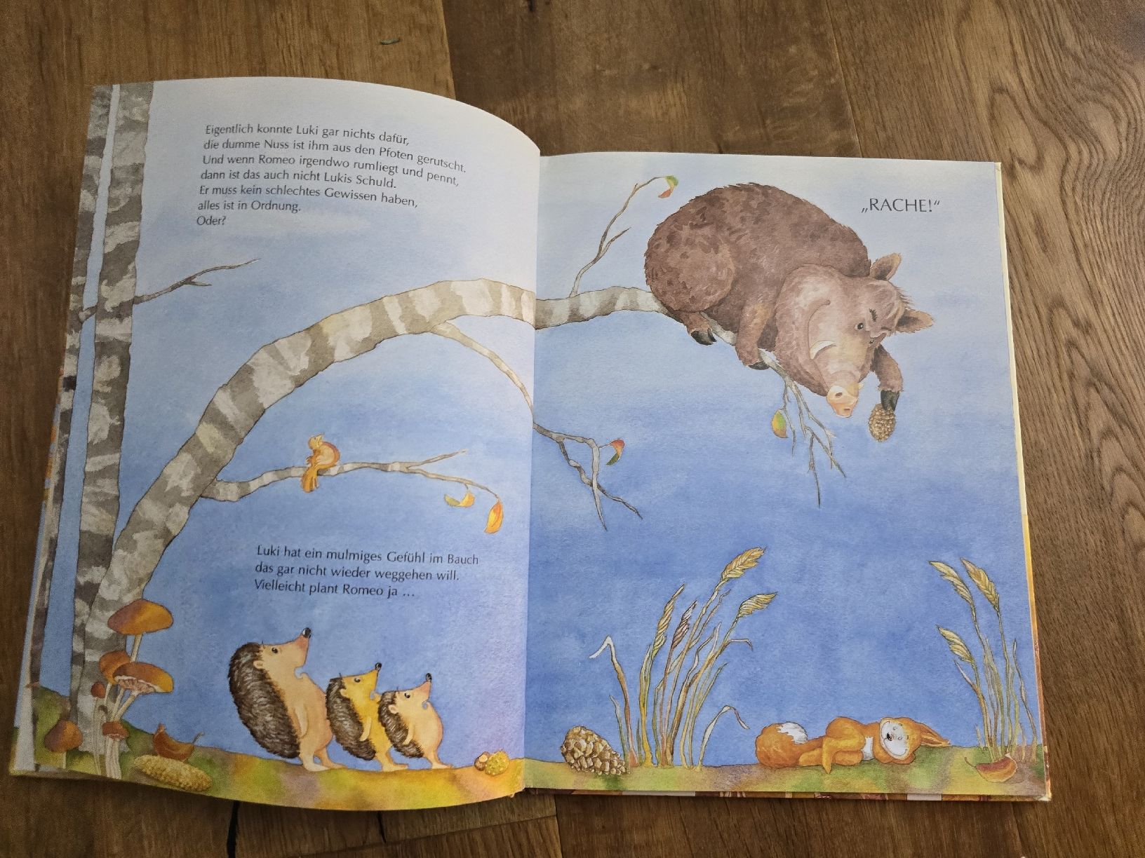 Libri: Kinderbuch "Probier's mal mit Entschuldigung!" neuwertig – Usato da Wittenbach venduto da Tigerlili 2
