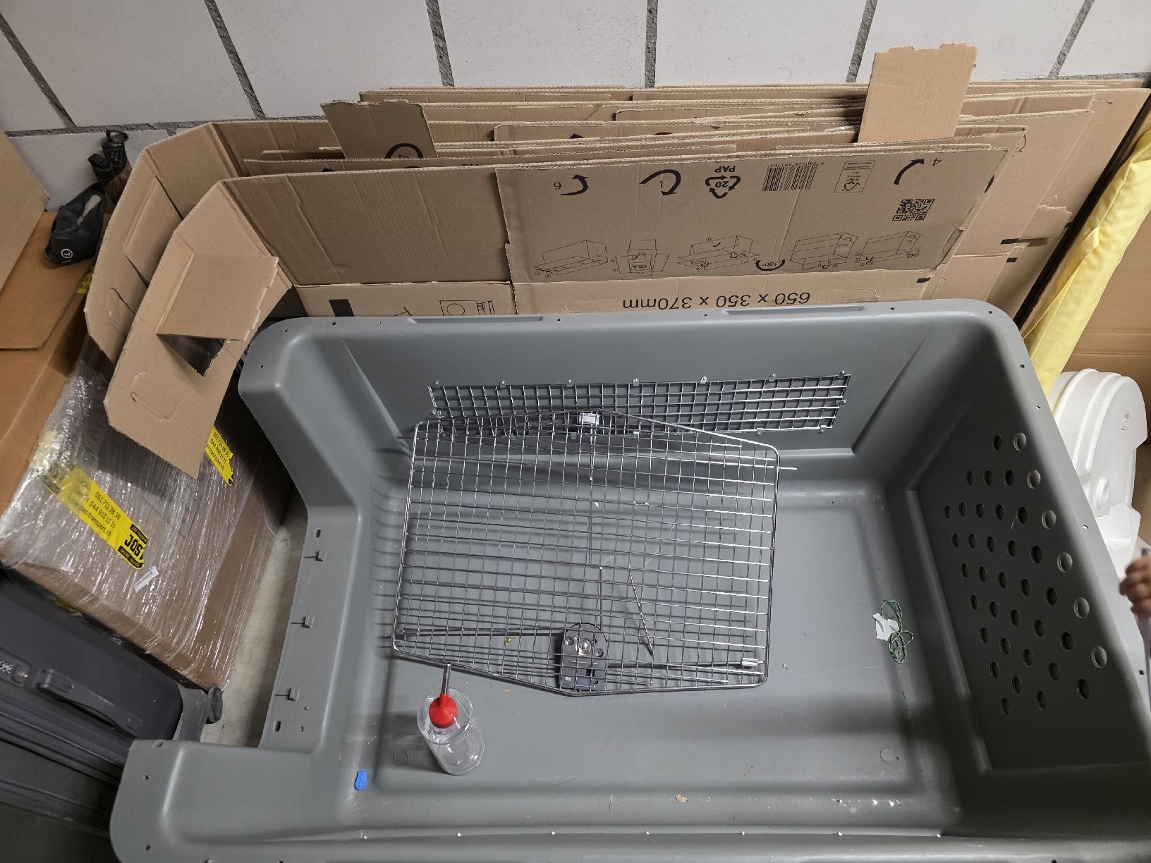 Gabbie, trasporto & Sicurezza: Transportbox Grey Pet Carrier excellent Condition – Nuovo (secondo la descrizione) da Biel/Bienne venduto da fra_9vkq 4