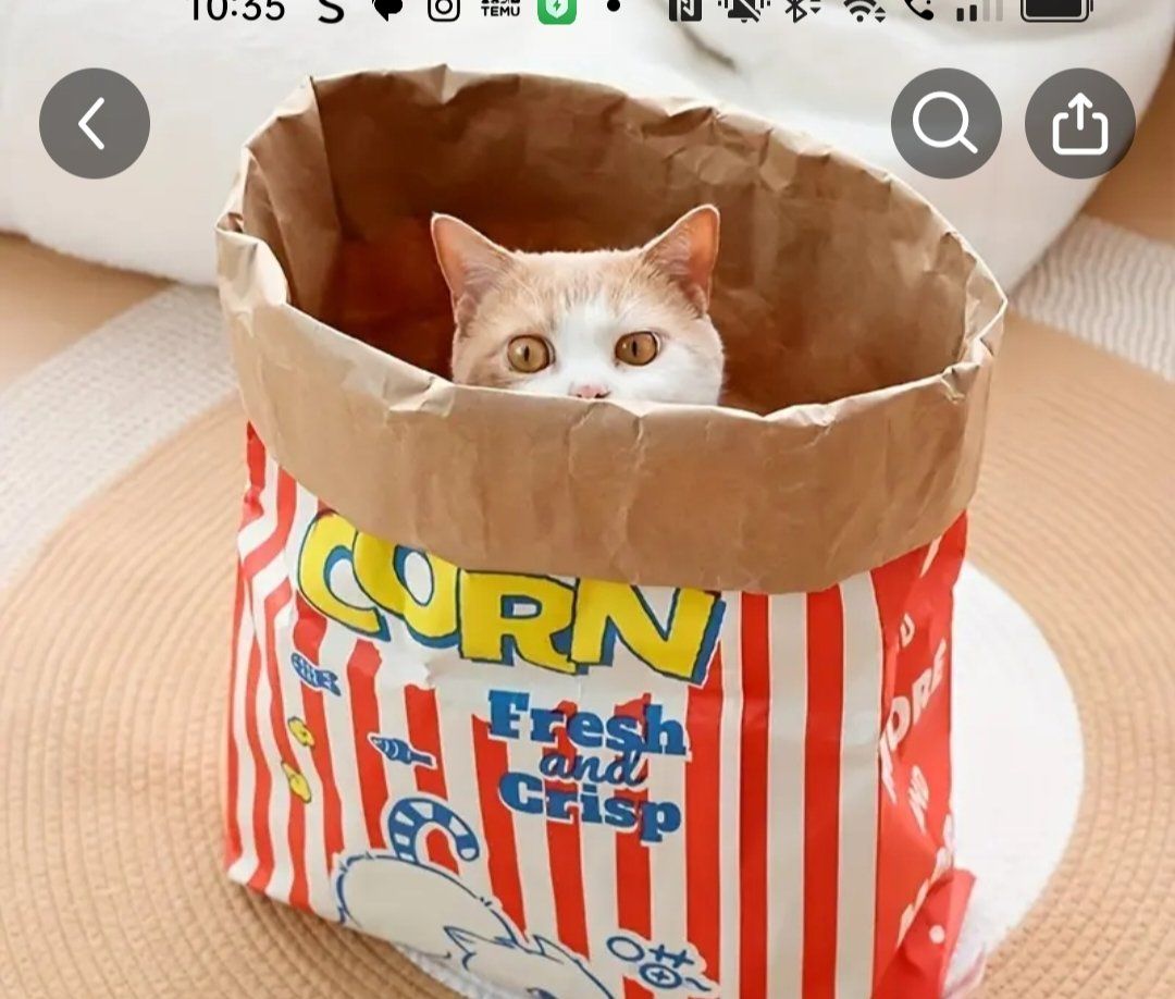 Giocattoli: katzenspielzeug Popcorn Tüte – Nuovo (secondo la descrizione) da Neftenbach venduto da Grisu97