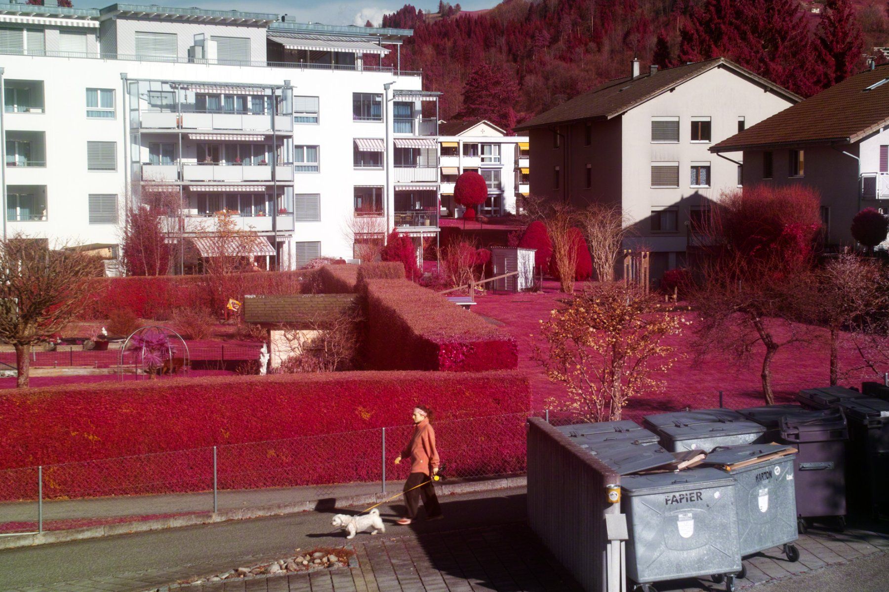 Sigma Fotocamera: Aerochrome Infrared Sigma SD1 Komplett – Usato da Thun venduto da HiddenRealmsCH 6