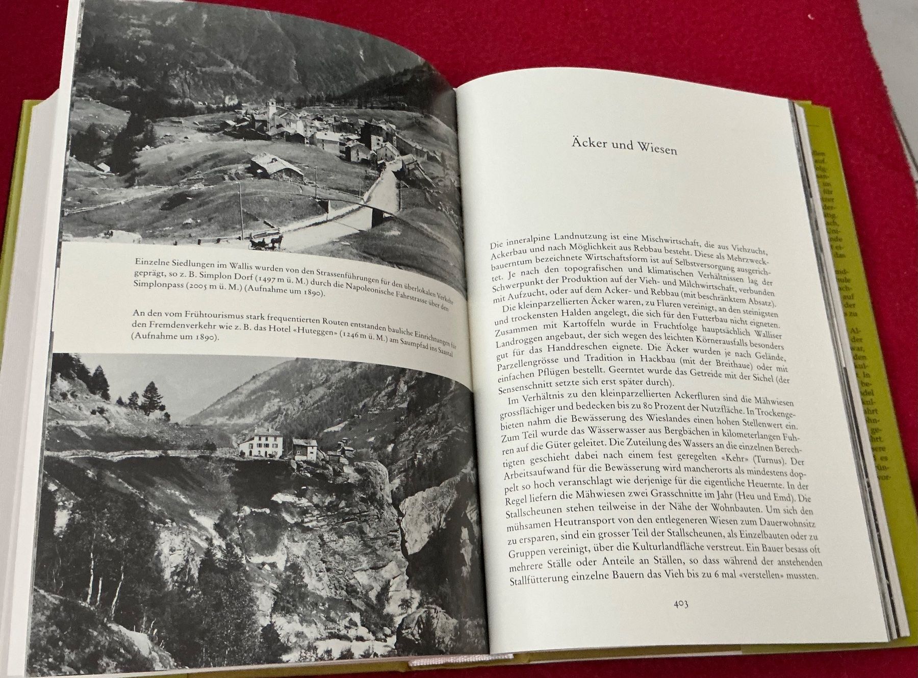 Libri: Alpine AlltagsKultur Volkskunde Lötschental - A. Niederer – Usato da Naters venduto da seidengut 4