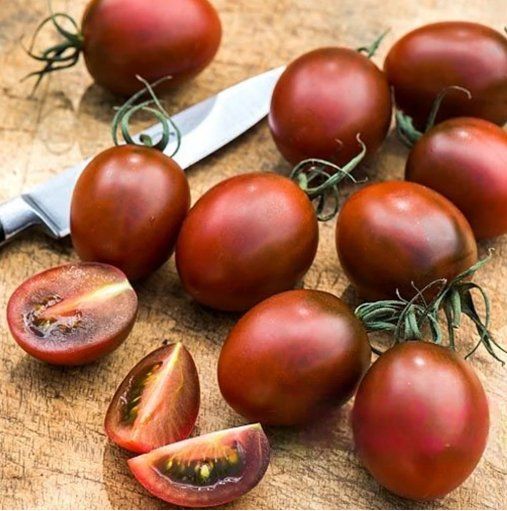 Piante & sementi: Cocktail TOMATE Sandy Belle / 5 Samen – Nuovo (secondo la descrizione) da Hinteregg venduto da ERFOLG78 1