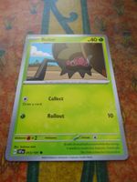 POKEMON  Rellor   H  SSP EN  013/191  HP40  2024