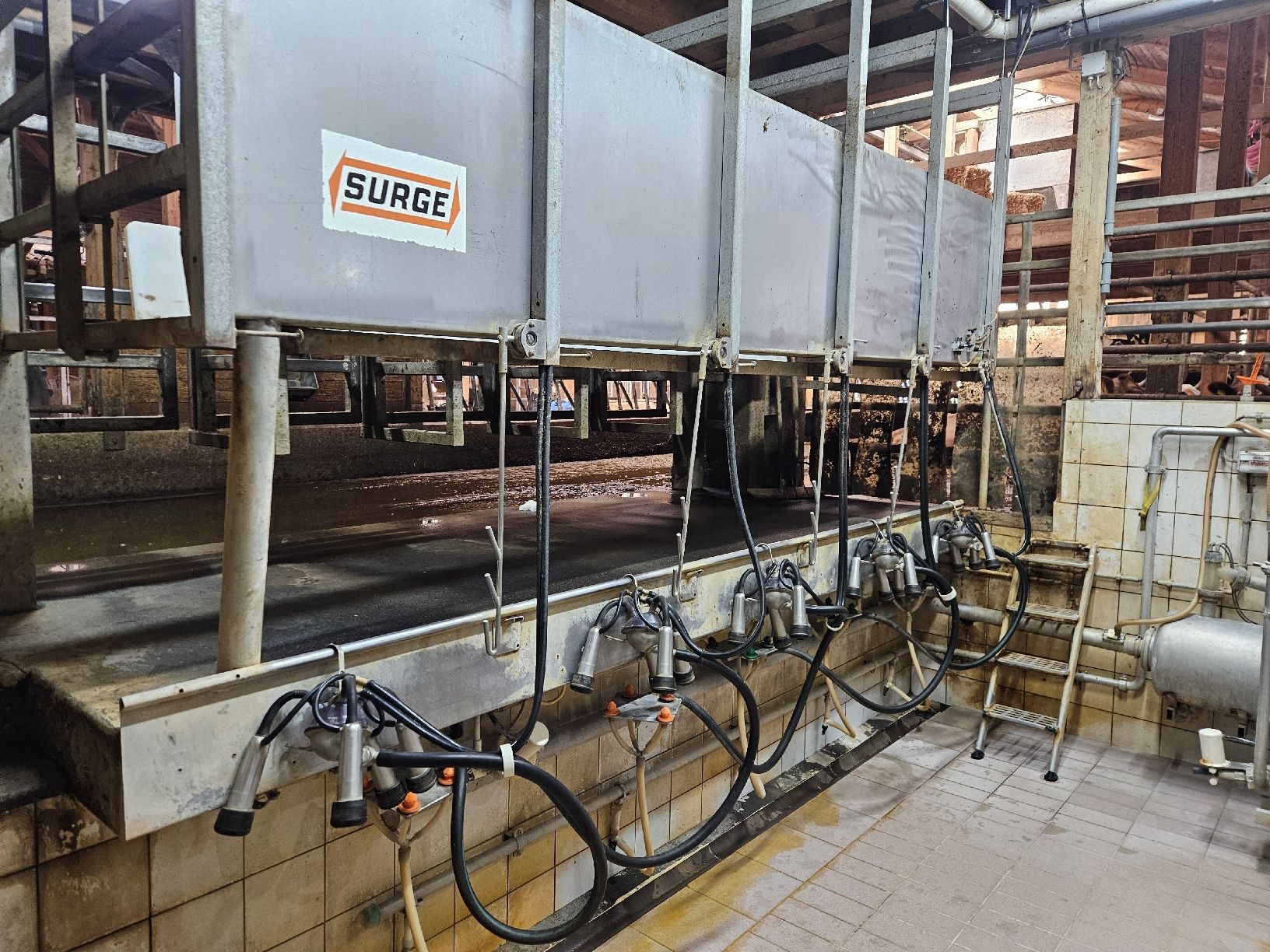 Toutes les machines: Melkstand 5er Sidbyside – D'occasion à Saland par JohnDeer02