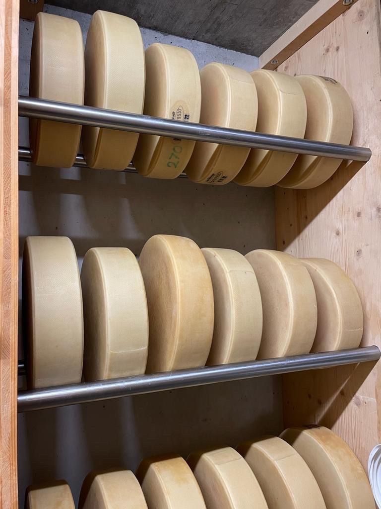 Cibi & Specialità: Berner Hobelkäse AOP 2023 – Nuovo e nell'imballaggio originale da Hasliberg-Goldern venduto da flowerbauer74 2