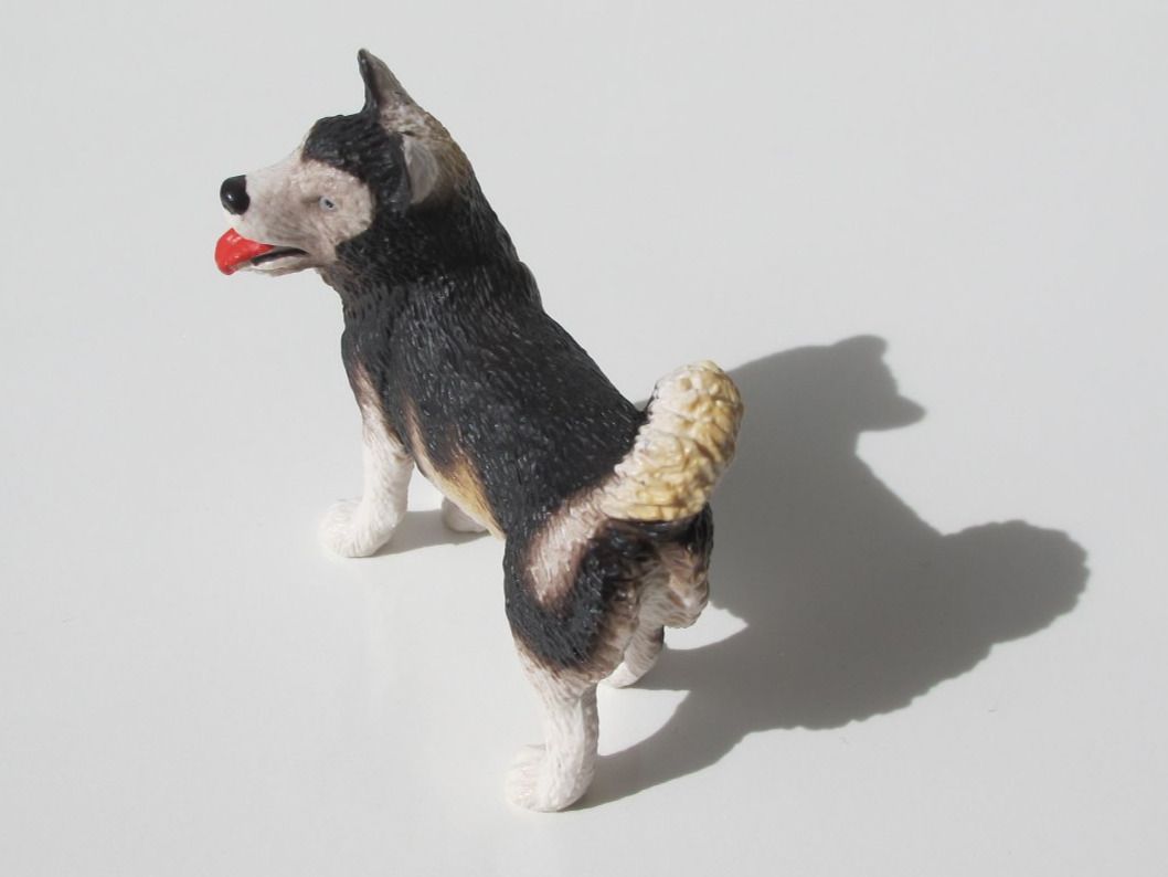 Schleich Figuren: Schleich 16311 Husky Hund – Gebraucht aus Vilters von hedi00 4
