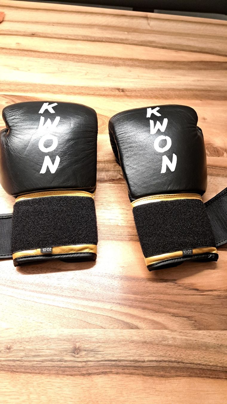 Guanti & manicotti: Kickboxhandschuhe KO Champ 10 Oz – Nuovo (secondo la descrizione) da Dozwil venduto da RianSchenk 1