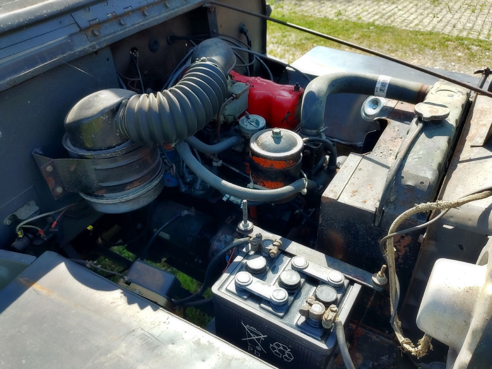 Jeep Automobili: Willys Jeep 1955 – Usato da Kaltenbach venduto da MRB3 7
