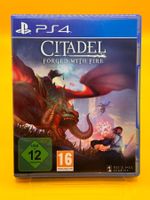PS4 Citadel Forged with Fire