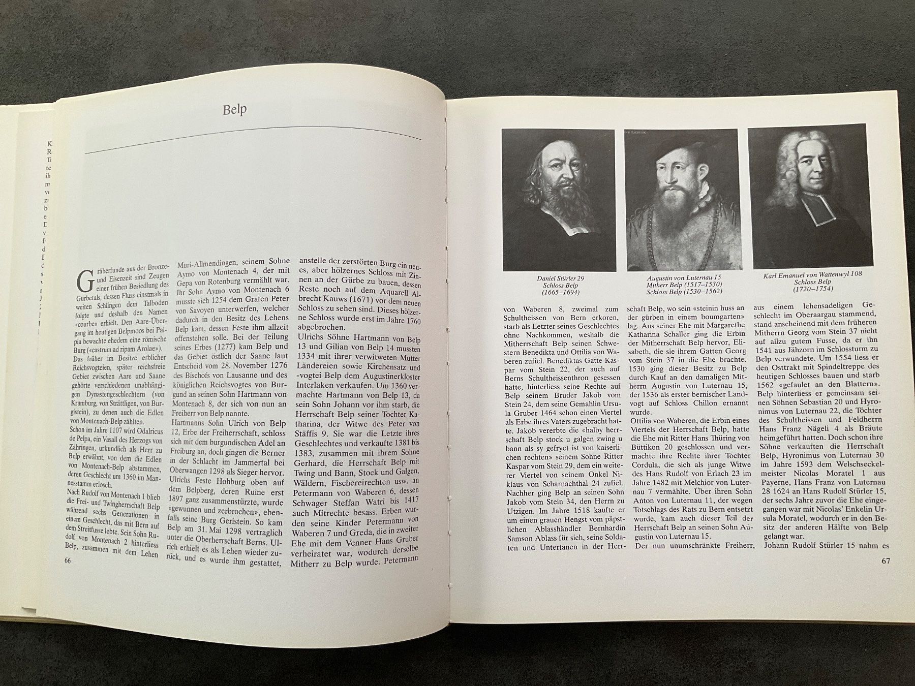 Libri: "Bernische Wohnesschlösser", Buch – Usato da Avenches venduto da Lactobacille 3