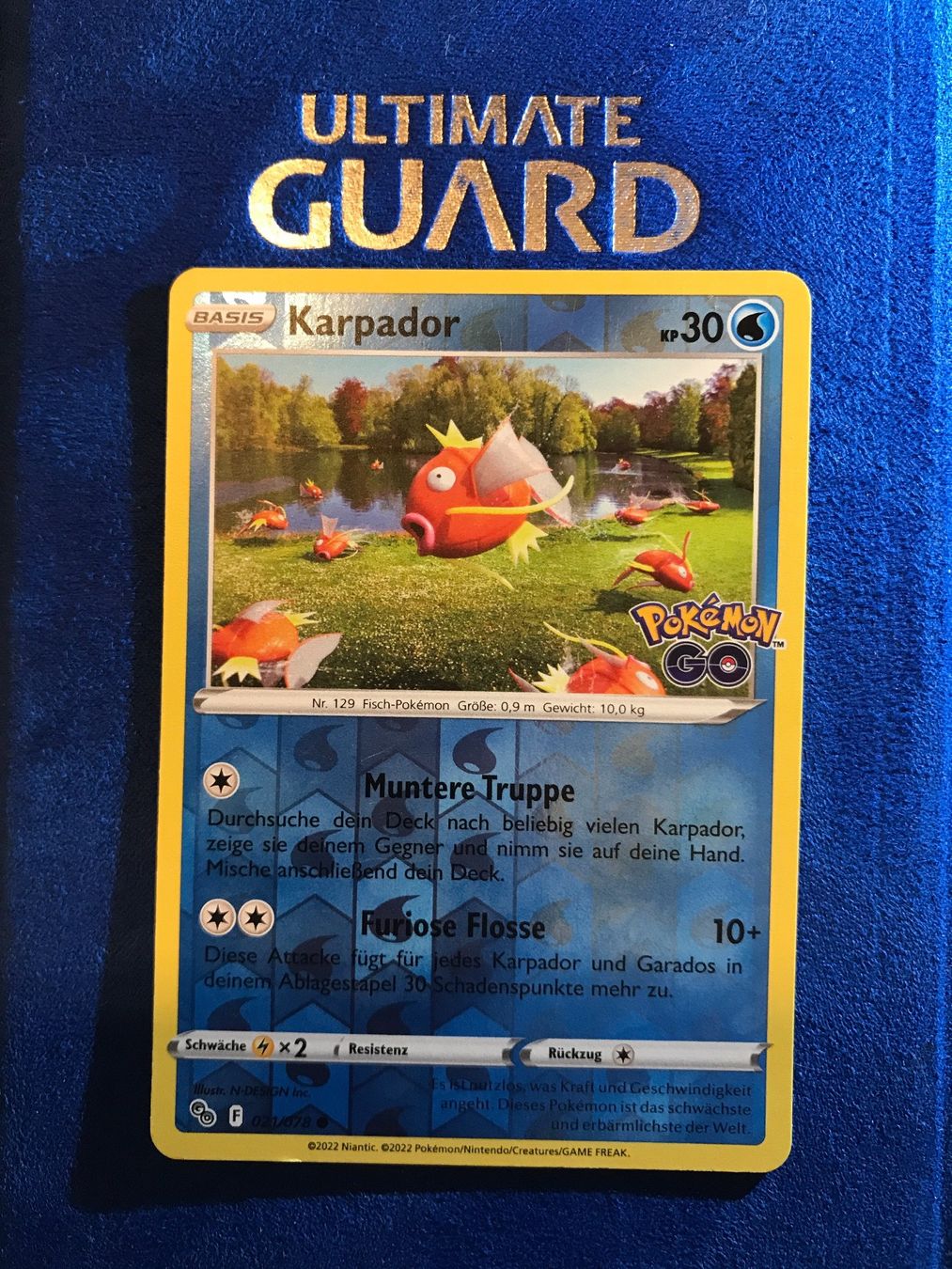 Pokémon Carte collezionabili: Pokemon TCG - Karpador DE reverse Holo – Usato da Lyss venduto da DeaDiLuna