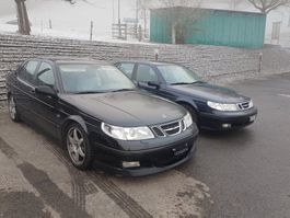 Schicker Saab 9-5 Aero Troll R LIEBHABER - FAHRZEUG