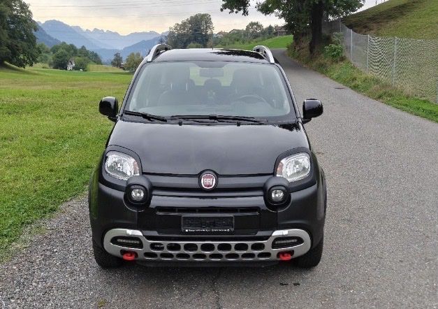 Fiat Automobili: Fiat Panda Cross 4x4 – Usato da Au SG venduto da ben_9kp2 1