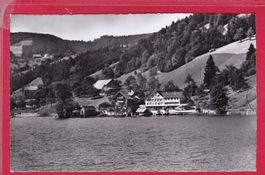 MORGARTEN, REST. UND PENSION EIERHALS, 20.9.1956