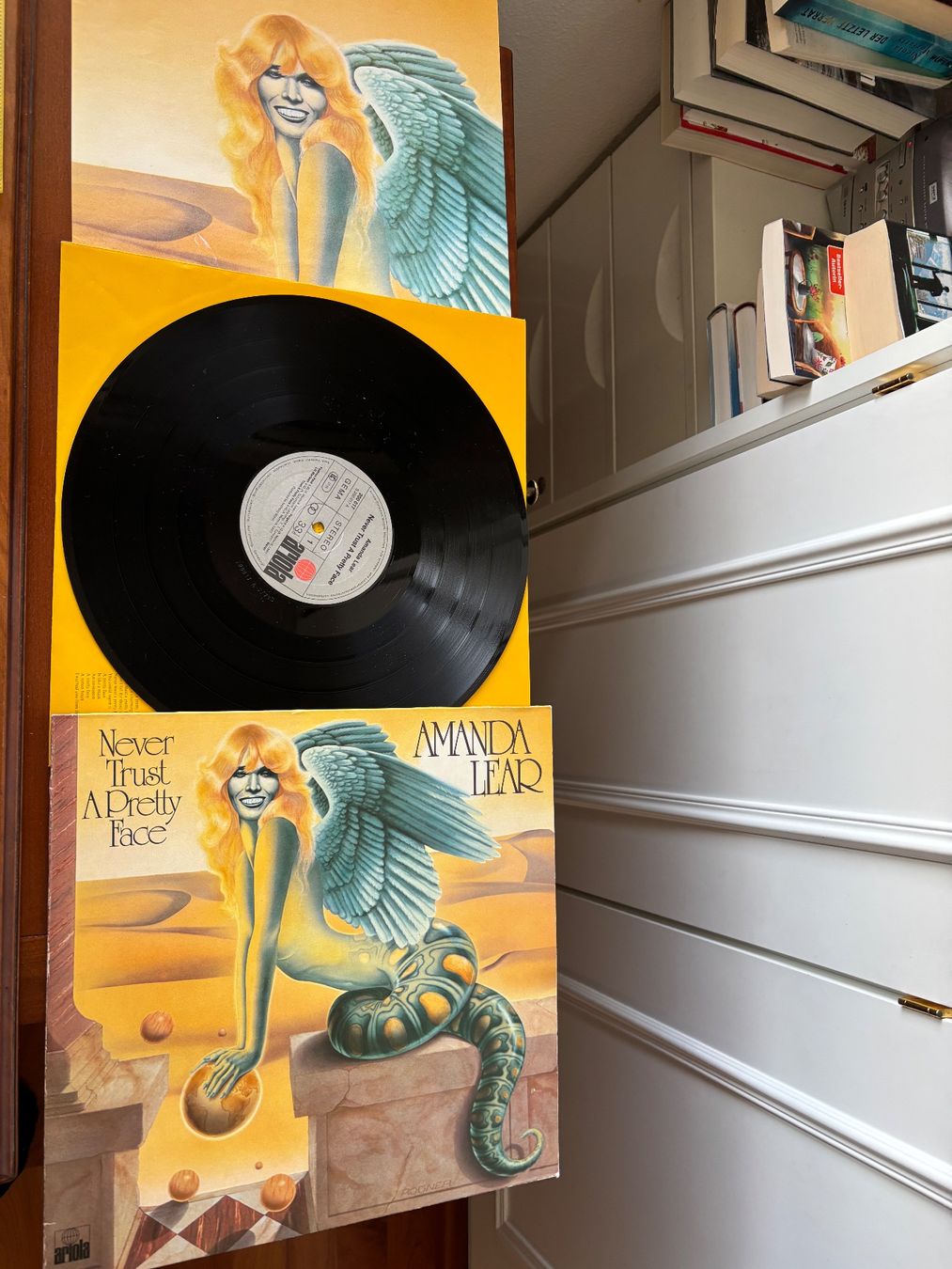 Schallplatten: LP Schallplatte Amanda Lear – Never Trust A Pretty Face 1978 – Gebraucht aus THERWIL von Fcbbasel