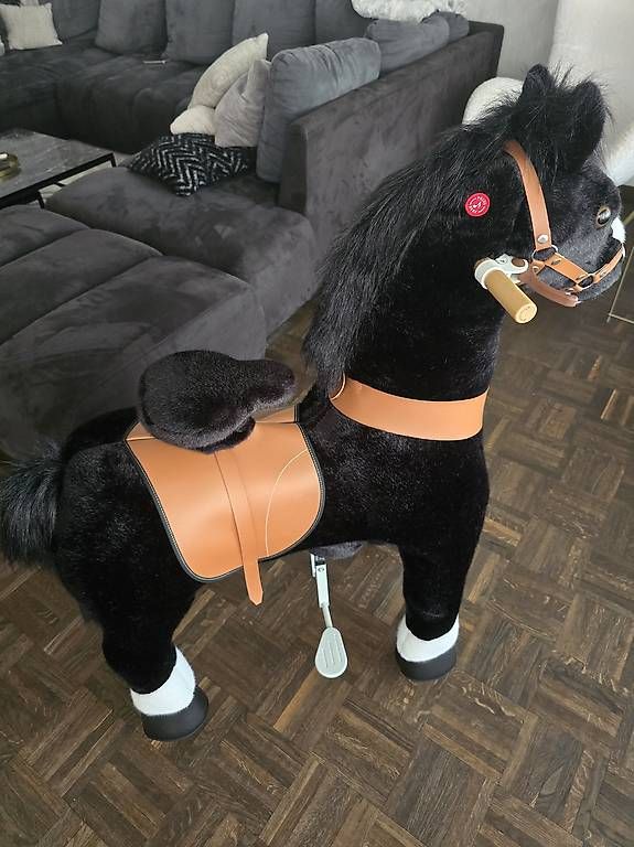 Veicoli per bambini: Pony Cycle – Usato da Minusio venduto da mar_bdc9 4