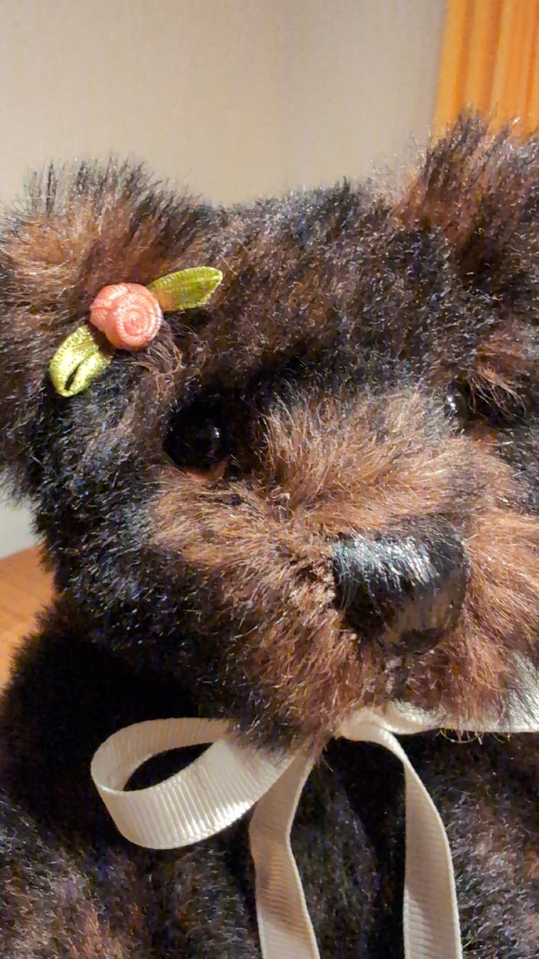 Statuette: Künstler Teddybär Unikat – Nuovo (secondo la descrizione) da Rüfenach AG venduto da sen_vbz6 1