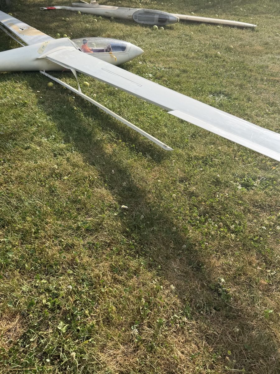 RC Modellbau: DG1000 | 5M – Gebraucht aus Biel/Bienne von sup_j58t 5