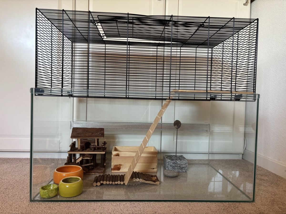 Gabbie, trasporto & Sicurezza: Hamstergehege – Usato da Stettfurt venduto da Geltopam 3