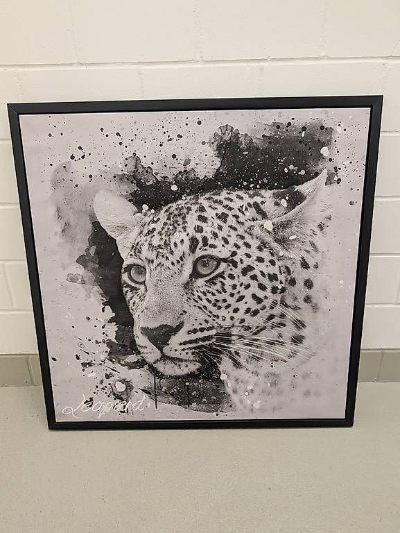 Foto & Immagini: Wandbild Leopard – Usato da Wattwil venduto da chevynator